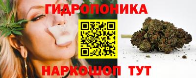 МДПВ Сланцы