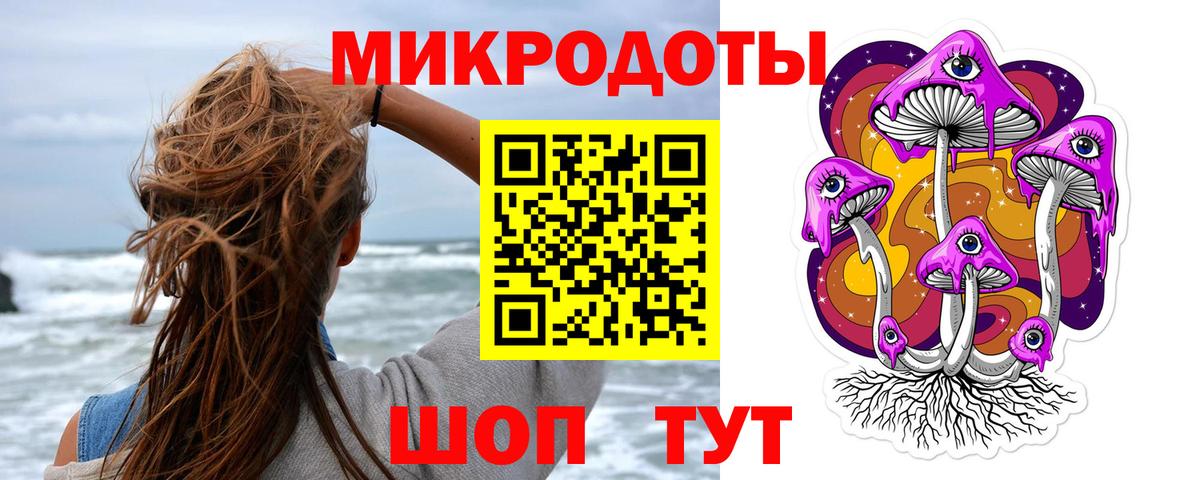 Галлюциногенные грибы GOLDEN TEACHER Новороссийск