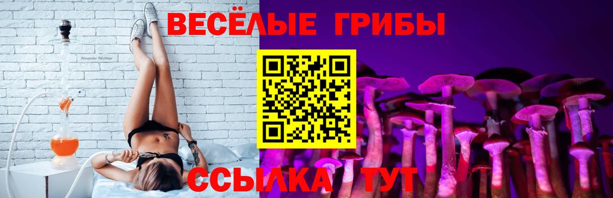 Галлюциногенные грибы Psilocybe  Вход с VPN  Новороссийск 